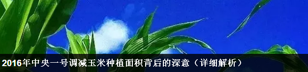 2016年中央一號(hào)調(diào)減玉米種植面積背后的深意（詳細(xì)解析）