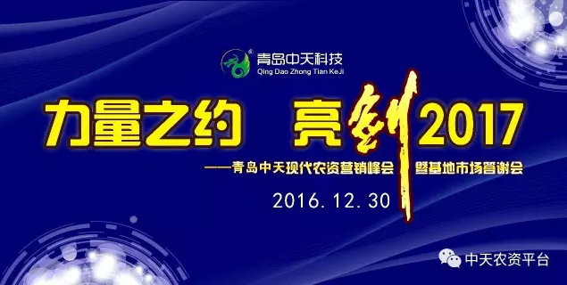 2017青島中天（集團）新年賀詞